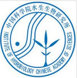 中国科学院水生生物研究所